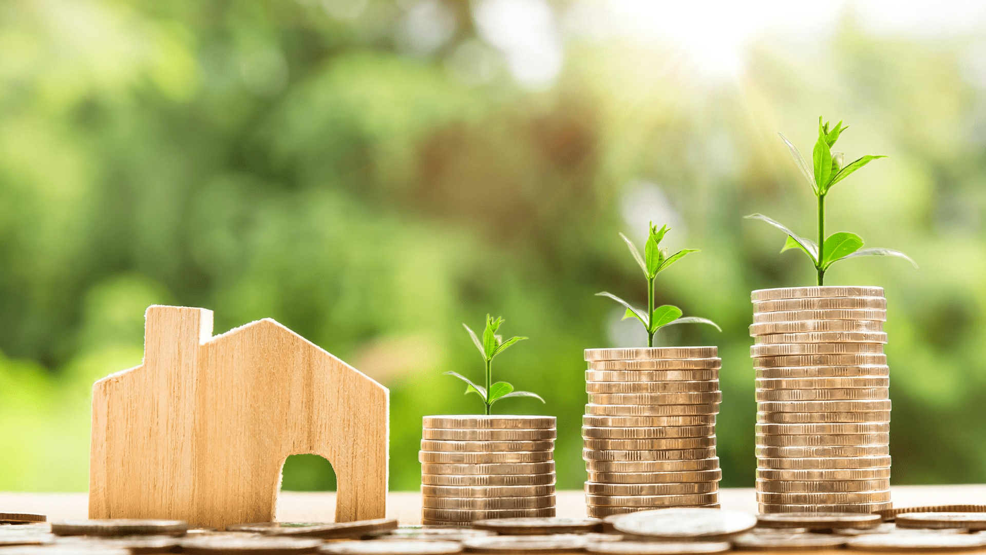 Charitable Gift Annuity (CGA) Catholic Foundation